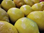 lemons%20001.jpg