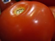 tomato%201.jpg