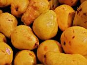 pears.jpg