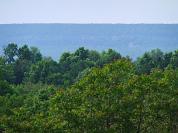 DSCF2571%20overlook.jpg